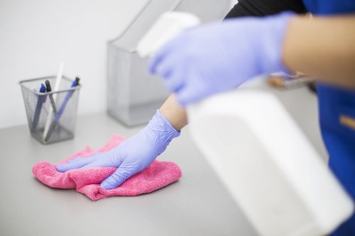 Cleaning pet stains from upholstery and rugs