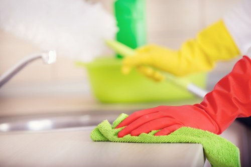Professional pet stain odour removal treatment in a home